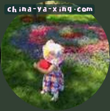 王磊